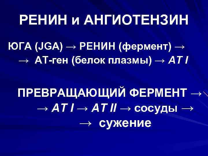 РЕНИН и АНГИОТЕНЗИН ЮГА (JGA) → РЕНИН (фермент) → → АТ-ген (белок плазмы) →