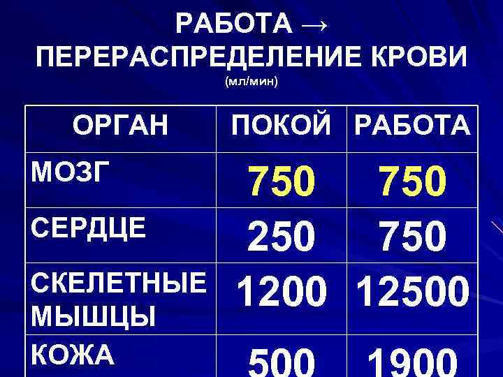 РАБОТА → ПЕРЕРАСПРЕДЕЛЕНИЕ КРОВИ (мл/мин) ОРГАН МОЗГ СЕРДЦЕ СКЕЛЕТНЫЕ МЫШЦЫ КОЖА ПОКОЙ РАБОТА 750