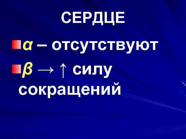 СЕРДЦЕ α – отсутствуют β → ↑ силу сокращений 