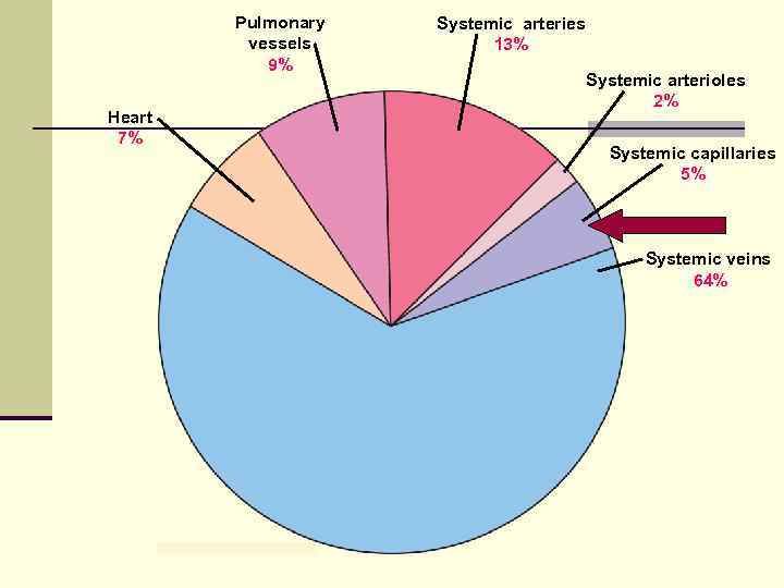 Pulmonary vessels 9% Heart 7% Systemic arteries 13% Systemic arterioles 2% Systemic capillaries 5%