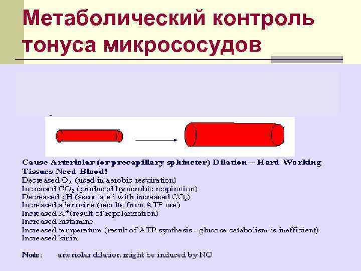 Метаболический контроль тонуса микрососудов 