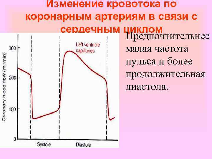 Изменение кровотока по коронарным артериям в связи с сердечным циклом Предпочтительнее малая частота пульса