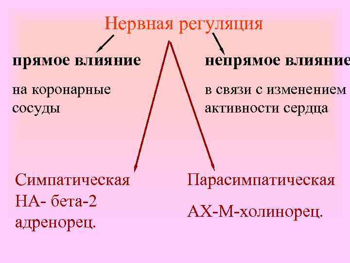 Нервная регуляция прямое влияние непрямое влияние на коронарные сосуды в связи с изменением активности