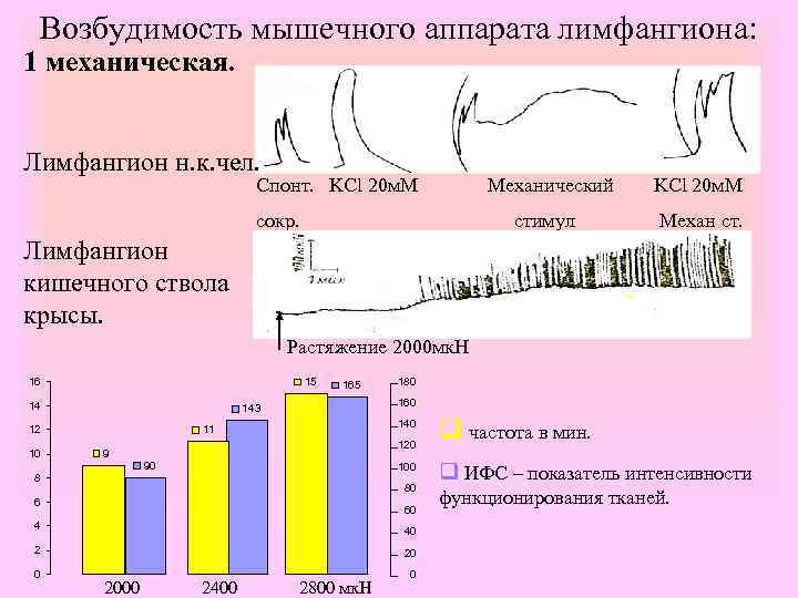 Возбудимость мышечного аппарата лимфангиона: 1 механическая. Лимфангион н. к. чел. Спонт. KCl 20 м.