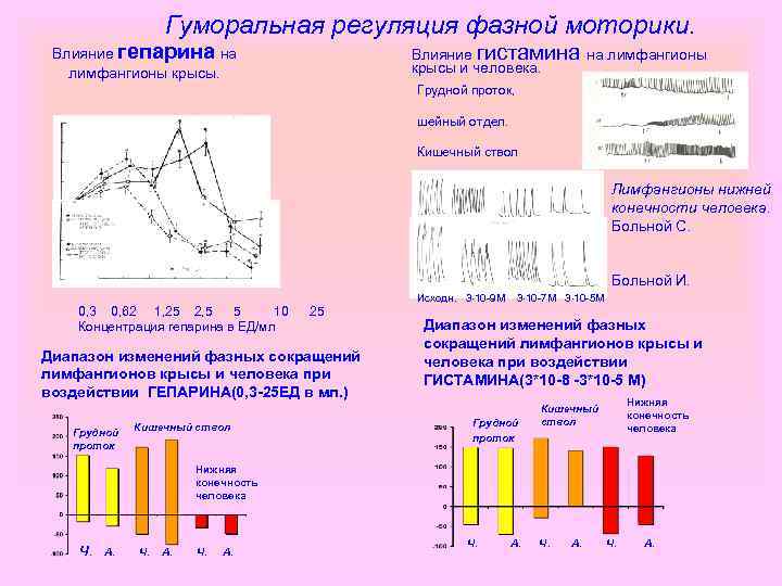 Гуморальная регуляция фазной моторики. Влияние гепарина на лимфангионы крысы. Влияние гистамина на лимфангионы крысы