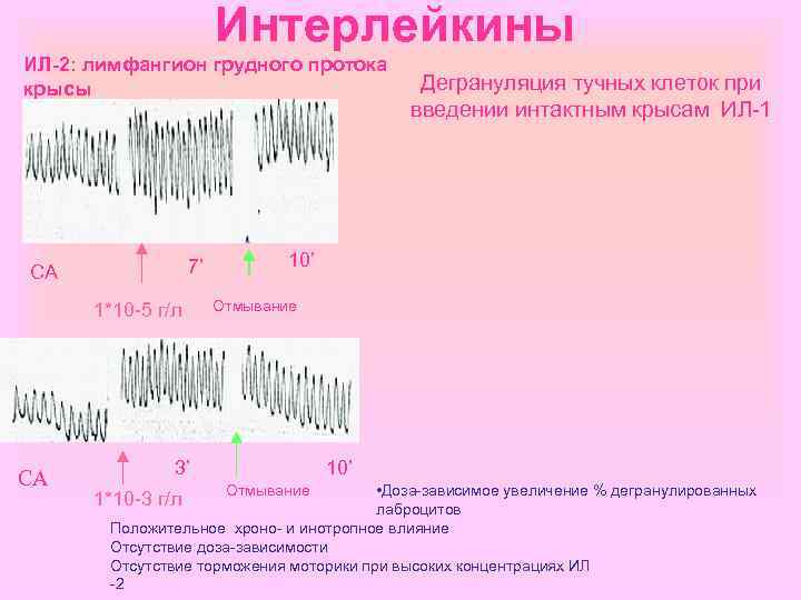 Интерлейкины ИЛ-2: лимфангион грудного протока крысы 7’ СА 1*10 -5 г/л СА Дегрануляция тучных