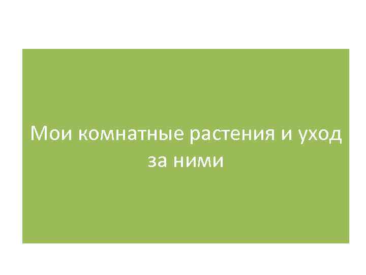 Мои комнатные растения и уход за ними 