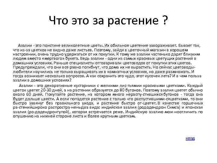 Что это за растение ? Азалии это поистине великолепные цветы. Их обильное цветение завораживает.