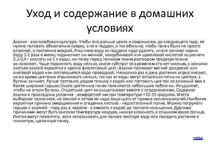 Уход и содержание в домашних условиях Азалия влаголюбивая культура. Чтобы она дольше цвела и