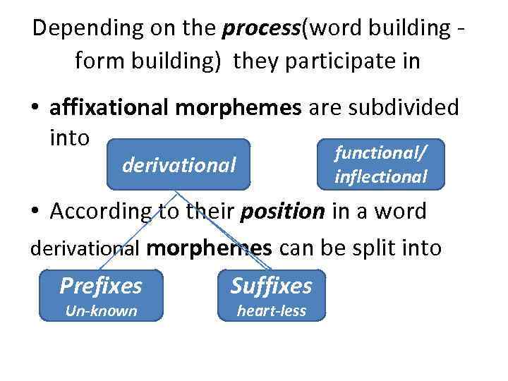 Depending on the process(word building form building) they participate in • affixational morphemes are