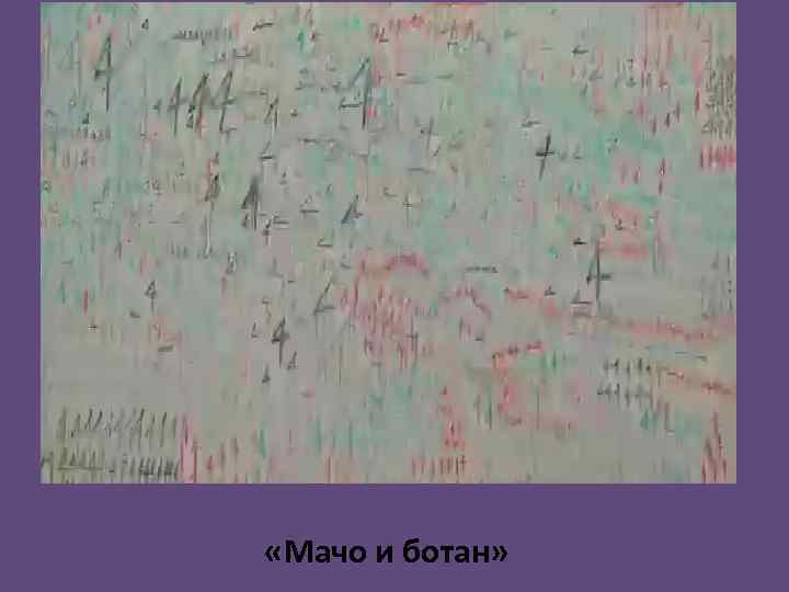  «Мачо и ботан» 