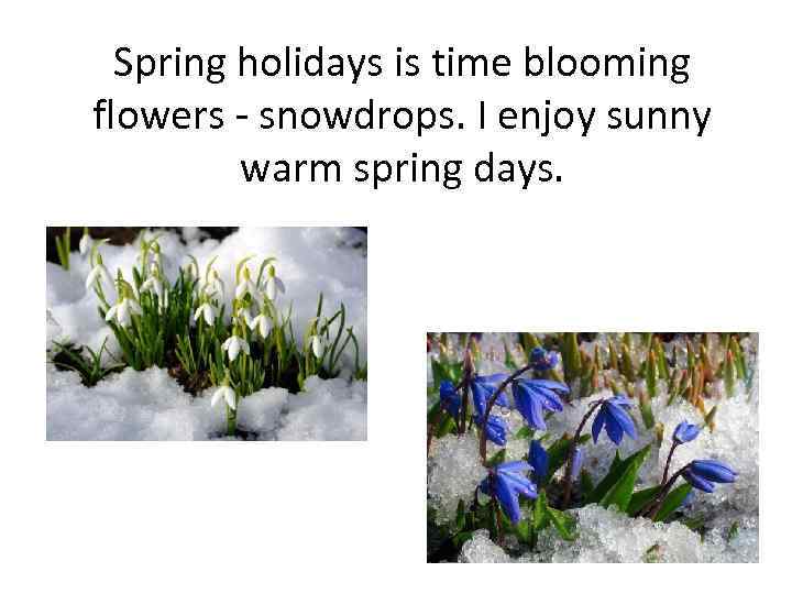 Spring holidays is time blooming flowers - snowdrops. I enjoy sunny warm spring days.