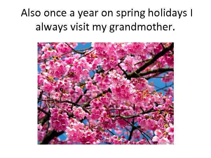 Also once a year on spring holidays I always visit my grandmother. 
