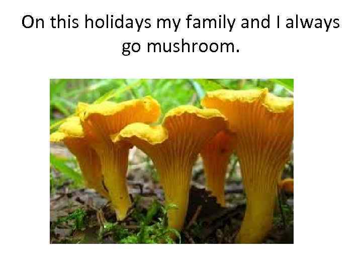 On this holidays my family and I always go mushroom. 