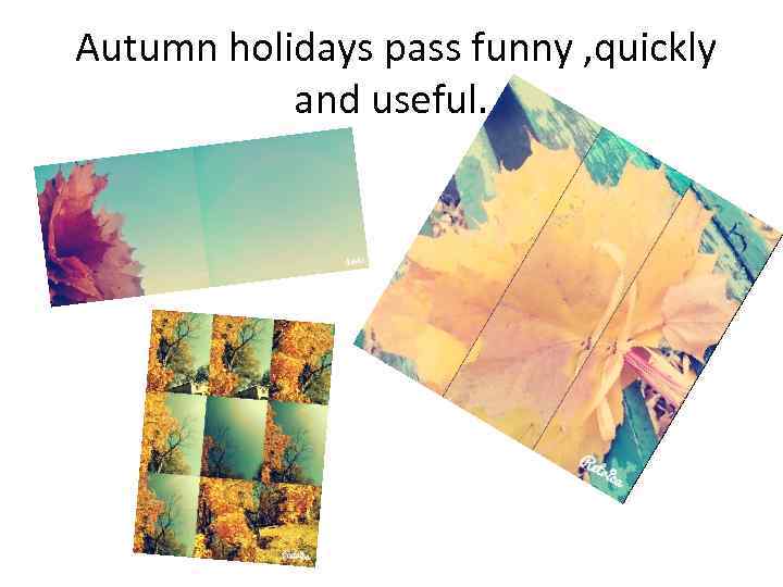 Autumn holidays pass funny , quickly and useful. 