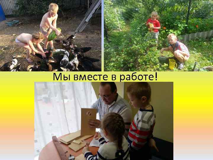 Мы вместе в работе! 
