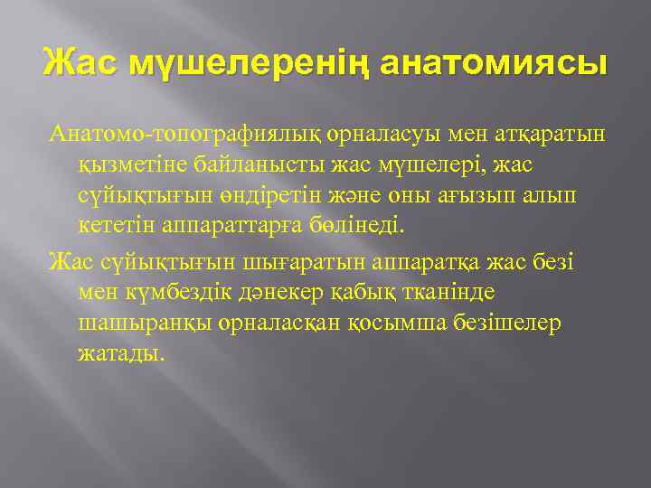 Жас мүшелеренің анатомиясы Анатомо-топографиялық орналасуы мен атқаратын қызметіне байланысты жас мүшелері, жас сүйықтығын өндіретін