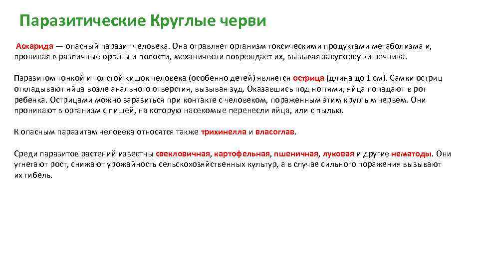 Паразитические Круглые черви Аскарида — опасный паразит человека. Она отравляет организм токсическими продуктами метаболизма