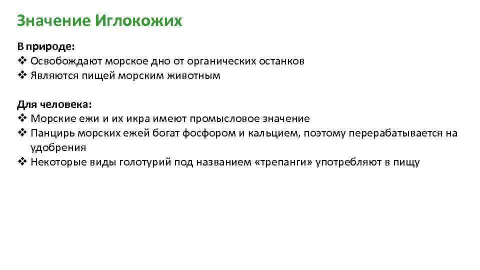 Значение Иглокожих В природе: v Освобождают морское дно от органических останков v Являются пищей