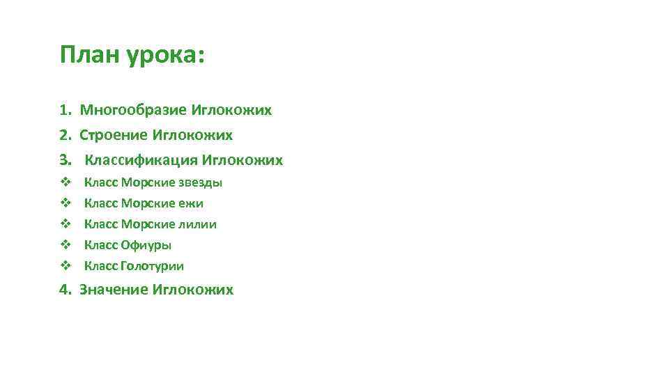 План урока: 1. Многообразие Иглокожих 2. Строение Иглокожих 3. Классификация Иглокожих v v v