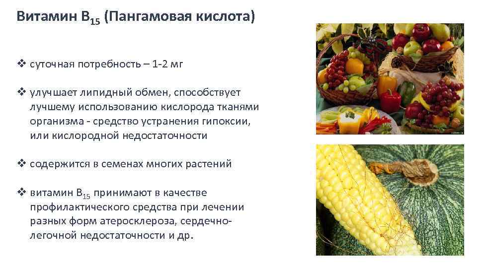 Витамин В 15 (Пангамовая кислота) v суточная потребность – 1 -2 мг v улучшает