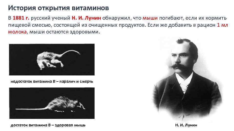 История открытия витаминов В 1881 г. русский ученый Н. И. Лунин обнаружил, что мыши