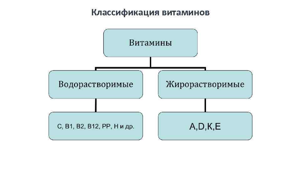 Классификация витаминов 