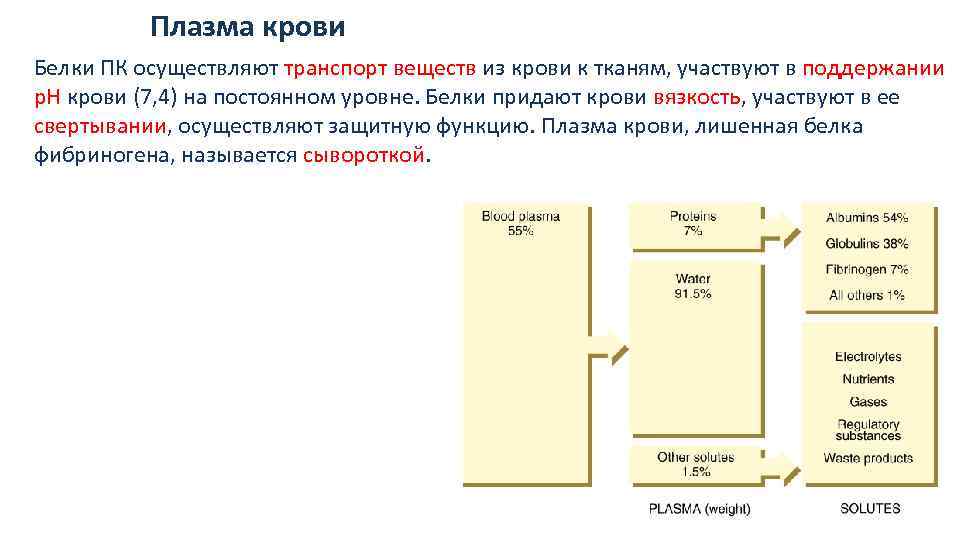 Плазма крови Белки ПК осуществляют транспорт веществ из крови к тканям, участвуют в поддержании