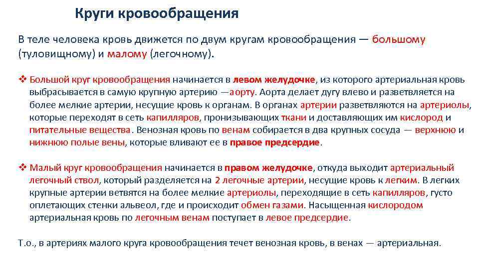 Круги кровообращения В теле человека кровь движется по двум кругам кровообращения — большому (туловищному)
