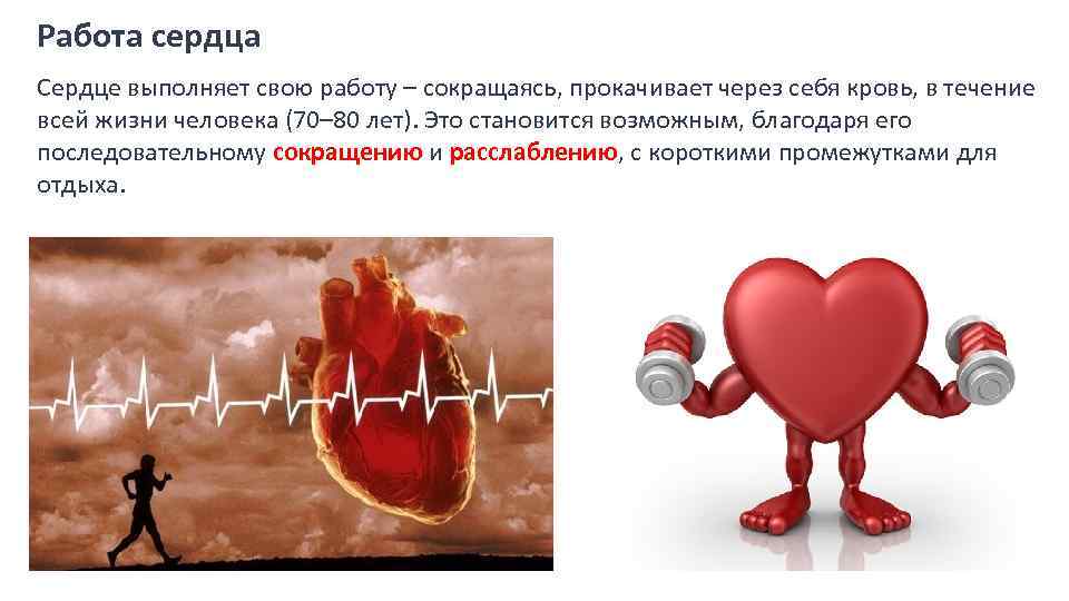 Физика работы сердца. Работа сердца. Деятельность сердца. Хорошая работа сердца. Сердце работа сердца.
