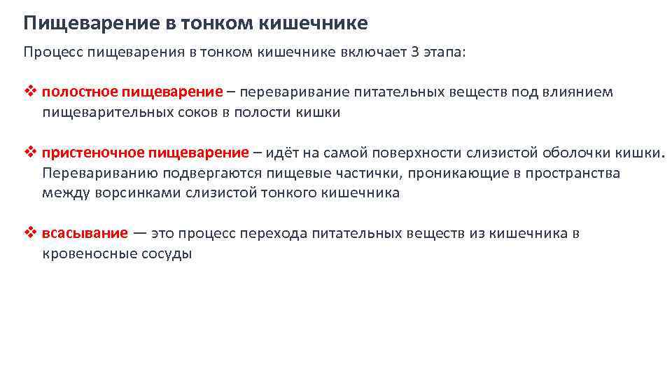 Пищеварение в тонком кишечнике Процесс пищеварения в тонком кишечнике включает 3 этапа: v полостное