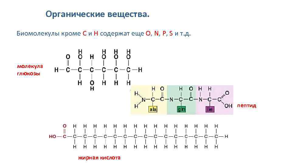 Органические вещества. Биомолекулы кроме С и Н содержат еще О, N, P, S и