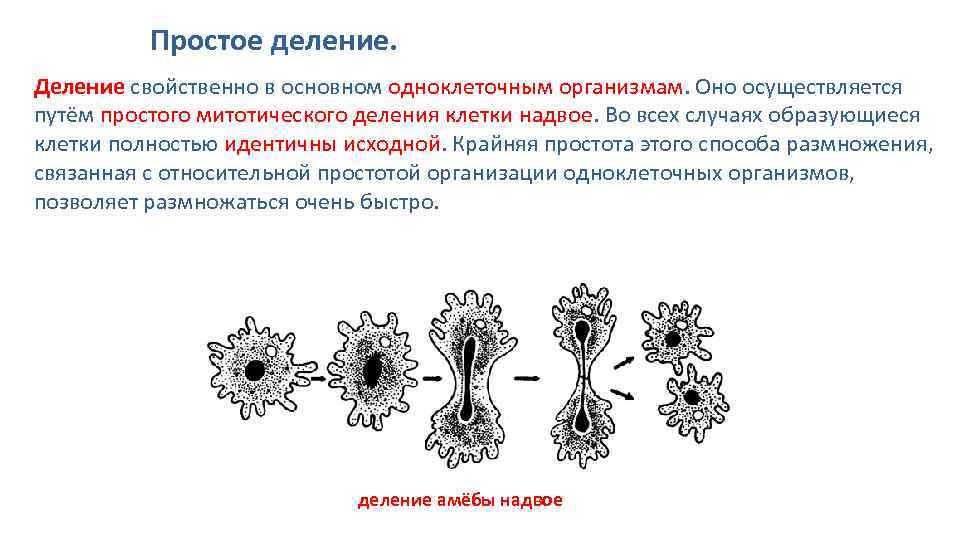 Какой процесс изображен на рисунке