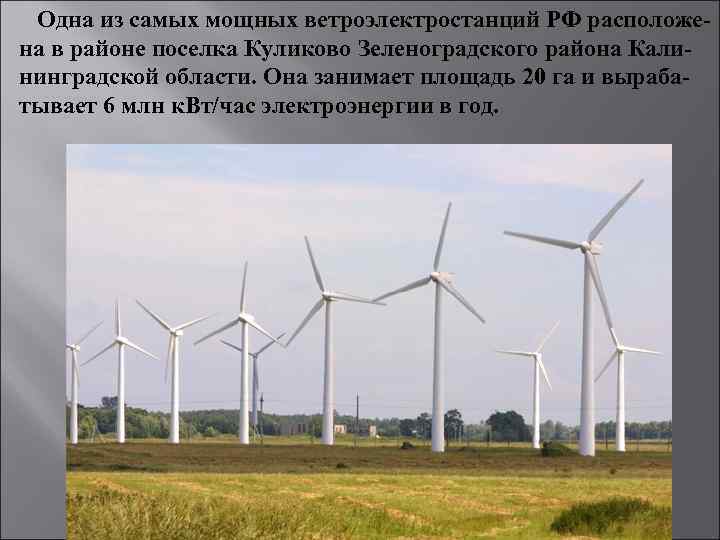 Одна из самых мощных ветроэлектростанций РФ расположена в районе поселка Куликово Зеленоградского района Калининградской