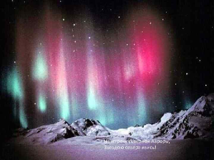 Навстречу северной Авроры, Звездою севера явись! 