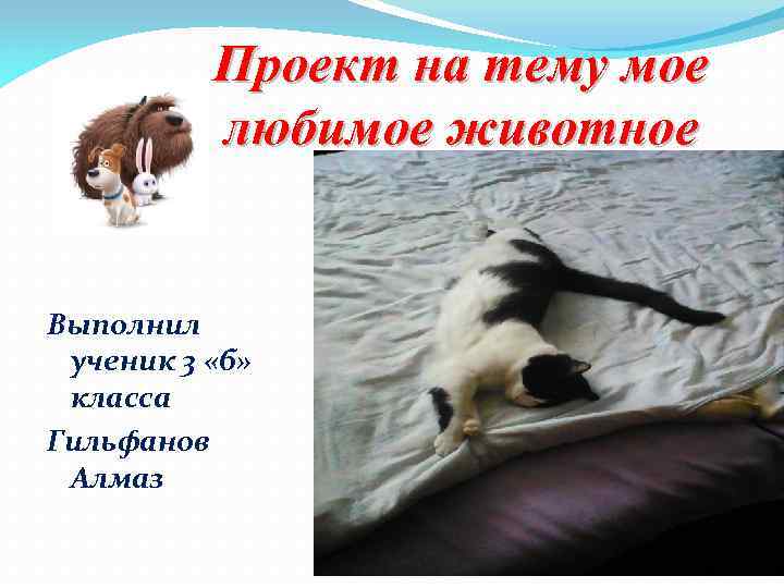Проект на тему мое любимое животное Выполнил ученик 3 «б» класса Гильфанов Алмаз 