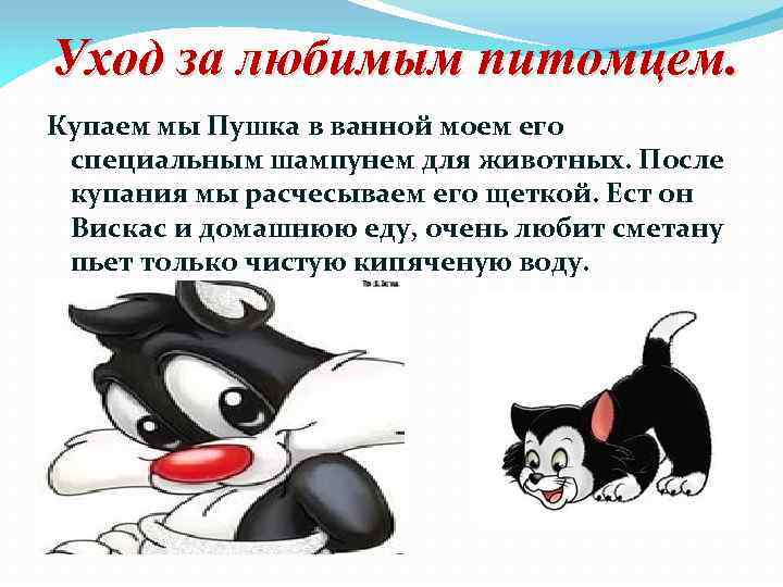 Уход за любимым питомцем. Купаем мы Пушка в ванной моем его специальным шампунем для