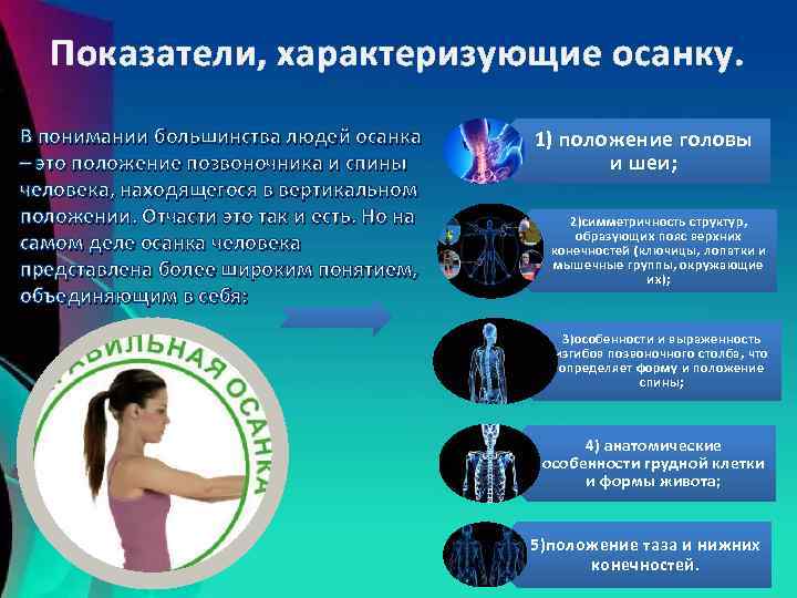 Показатели, характеризующие осанку. В понимании большинства людей осанка – это положение позвоночника и спины