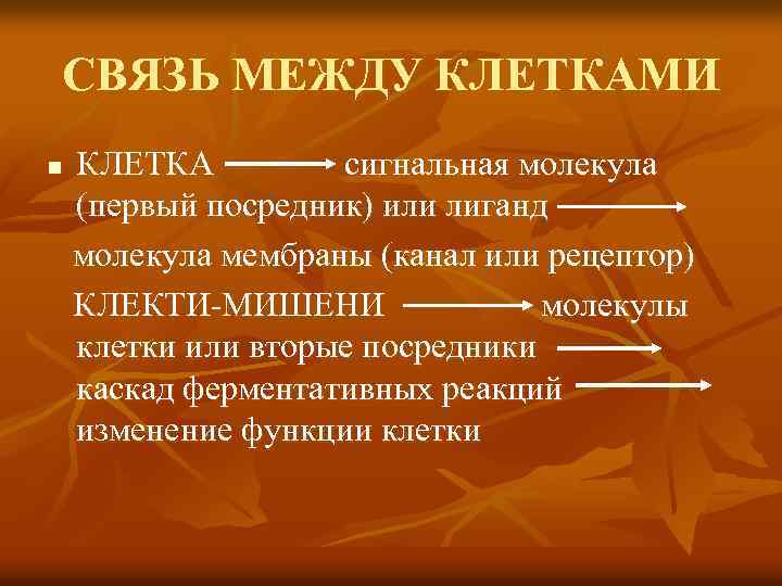 СВЯЗЬ МЕЖДУ КЛЕТКАМИ КЛЕТКА сигнальная молекула (первый посредник) или лиганд молекула мембраны (канал или