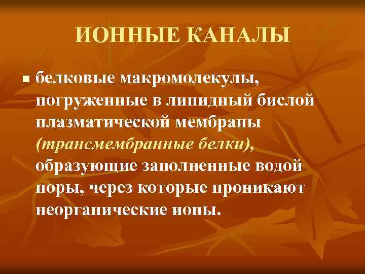 ИОННЫЕ КАНАЛЫ n белковые макромолекулы, погруженные в липидный бислой плазматической мембраны (трансмембранные белки), образующие