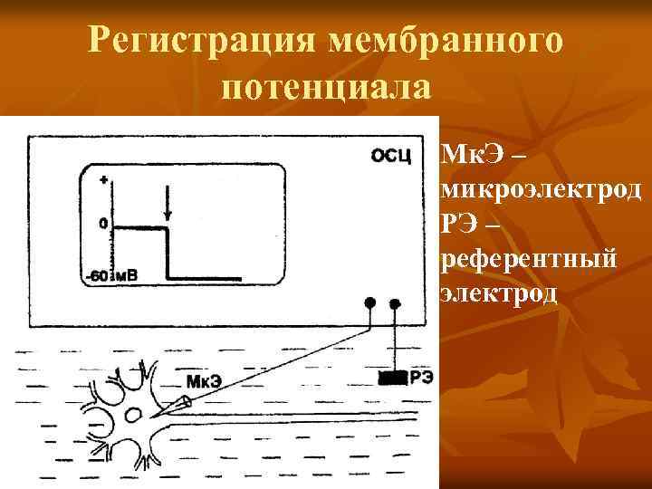 Регистрация мембранного потенциала Мк. Э – микроэлектрод РЭ – референтный электрод 