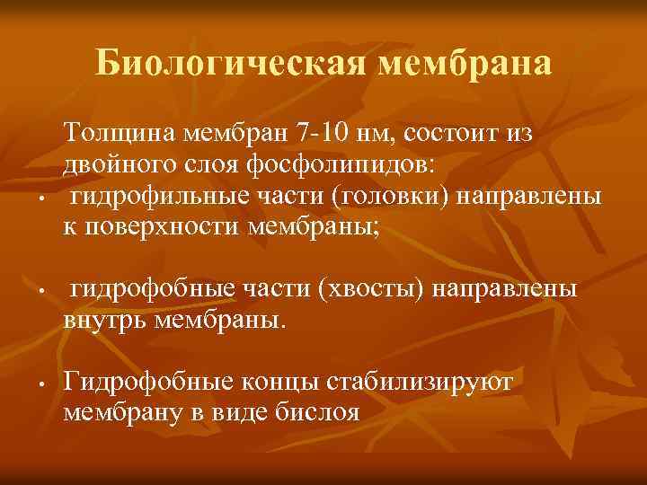 Биологическая мембрана • • • Толщина мембран 7 -10 нм, состоит из , двойного