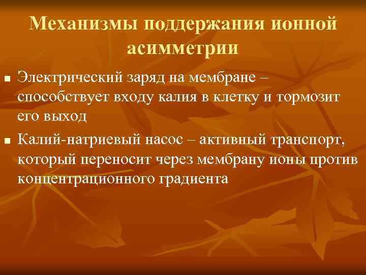 Механизмы поддержания ионной асимметрии n n Электрический заряд на мембране – способствует входу калия