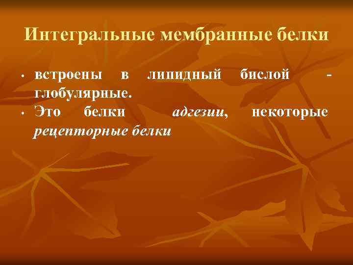 Интегральные мембранные белки Интегральные • • встроены в липидный бислой глобулярные. Это белки адгезии,