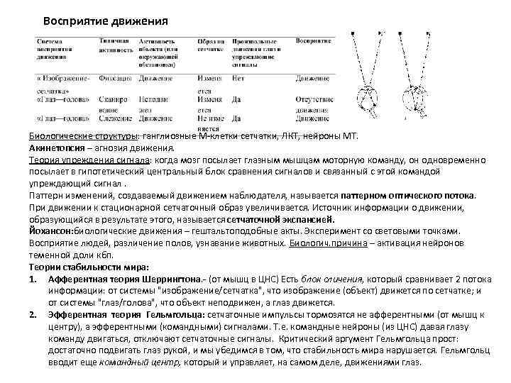 Восприятие движения Биологические структуры: ганглиозные М клетки сетчатки, ЛКТ, нейроны МТ. Акинетопсия – агнозия