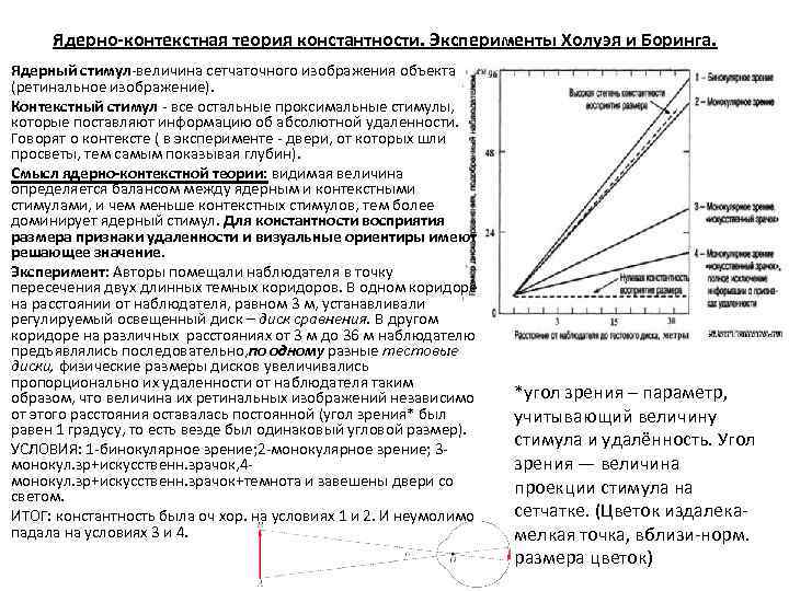 Ядерно-контекстная теория константности. Эксперименты Холуэя и Боринга. Ядерный стимул величина сетчаточного изображения объекта (ретинальное