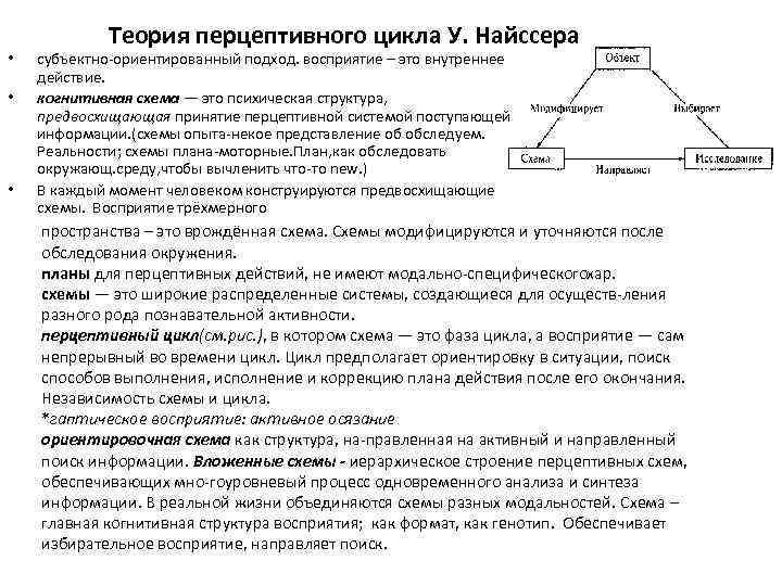 Перцептивная схема и перцептивный цикл