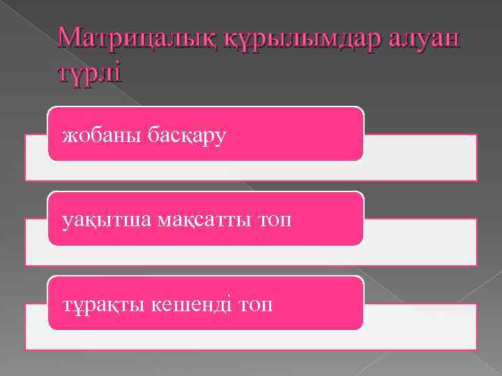 Матрицалық құрылымдар алуан түрлі жобаны басқару уақытша мақсатты топ тұрақты кешенді топ 