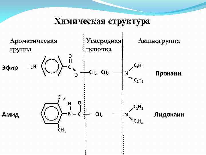 Химическая структура Ароматическая группа Эфир Углеродная цепочка O H 2 N C O CH