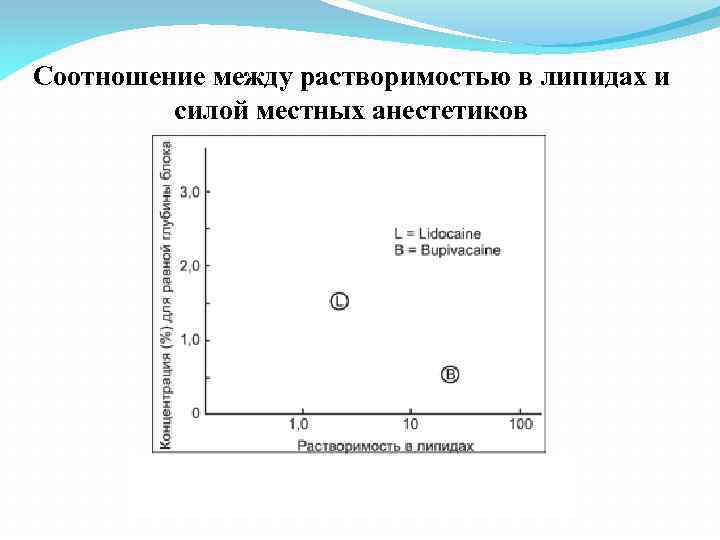 Соотношение между растворимостью в липидах и силой местных анестетиков 